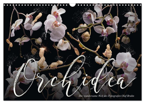 Orchidea (Wandkalender 2027 DIN A3 quer), CALVENDO Monatskalender