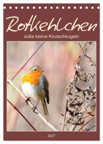 Rotkehlchen, süße kleine Knutschkugeln (Tischkalender 2027 DIN A5 hoch), CALVENDO Monatskalender