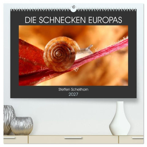 DIE SCHNECKEN EUROPAS (hochwertiger Premium Wandkalender 2027 DIN A2 quer), Kunstdruck in Hochglanz