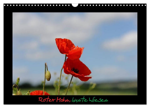 Roter Mohn, bunte Wiesen (Wandkalender 2027 DIN A3 quer), CALVENDO Monatskalender