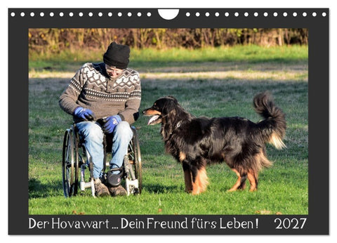 Der Hovawart... Dein Freund fürs Leben! (Wandkalender 2027 DIN A4 quer), CALVENDO Monatskalender
