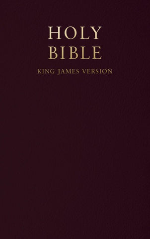 HOLY BIBLE PB