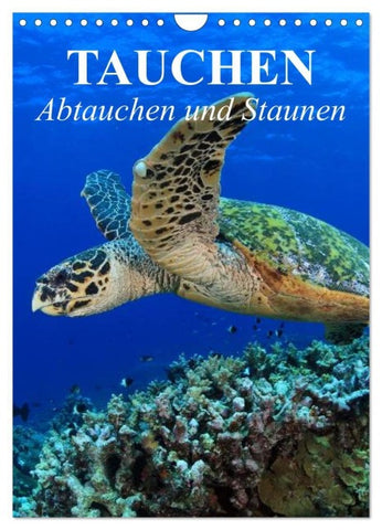 Tauchen - Abtauchen und Staunen (Wandkalender 2027 DIN A4 hoch), CALVENDO Monatskalender