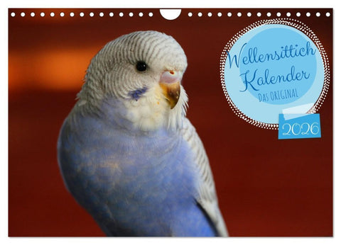 Wellensittichkalender! - Das Original (Wandkalender 2026 DIN A4 quer), CALVENDO Monatskalender