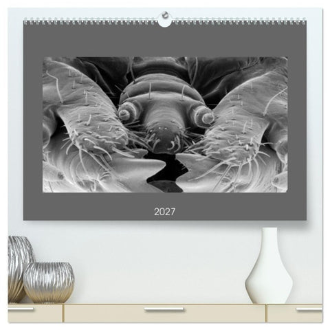 Erlebnis Mikrokosmos (hochwertiger Premium Wandkalender 2027 DIN A2 quer), Kunstdruck in Hochglanz