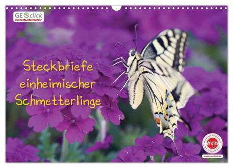 GEOclick Lernkalender: Steckbriefe einheimischer Schmetterlinge (Wandkalender 2027 DIN A3 quer), CALVENDO Monatskalender