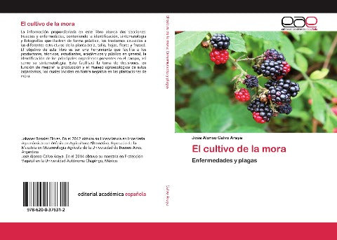 El cultivo de la mora