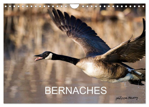 BERNACHES (Calendrier mural 2027 DIN A4 vertical), CALVENDO calendrier mensuel