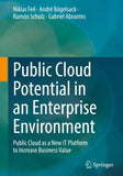 Public Cloud Potential in an Enterprise Environment