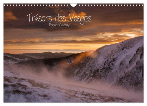 Trésors des Vosges (Calendrier mural 2027 DIN A3 vertical), CALVENDO calendrier mensuel