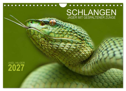 SCHLANGEN. JÄGER MIT GESPALTENER ZUNGE (Wandkalender 2027 DIN A4 quer), CALVENDO Monatskalender