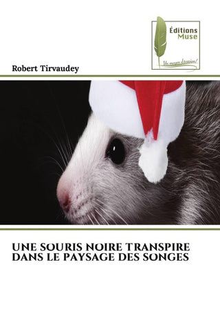 UNE SOURIS NOIRE TRANSPIRE DANS LE PAYSAGE DES SONGES