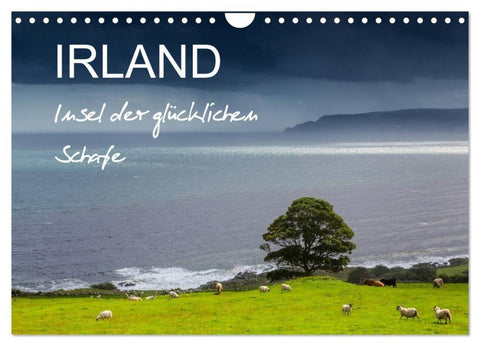 IRLAND - Insel der glücklichen Schafe (Wandkalender 2027 DIN A4 quer), CALVENDO Monatskalender