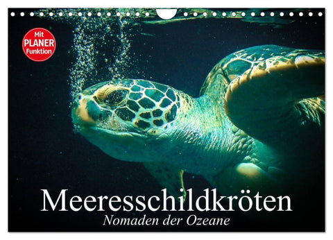 Meeresschildkröten. Nomaden der Ozeane (Wandkalender 2026 DIN A4 quer), CALVENDO Monatskalender