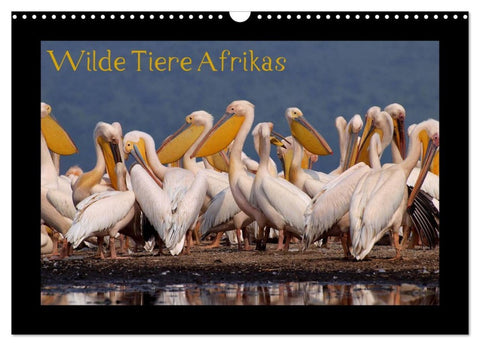 Wilde Tiere Afrikas (Wandkalender 2026 DIN A3 quer), CALVENDO Monatskalender