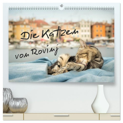 Die Katzen von Rovinj (hochwertiger Premium Wandkalender 2027 DIN A2 quer), Kunstdruck in Hochglanz