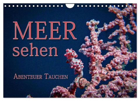 Meer sehen - Abenteuer Tauchen (Wandkalender 2026 DIN A4 quer), CALVENDO Monatskalender