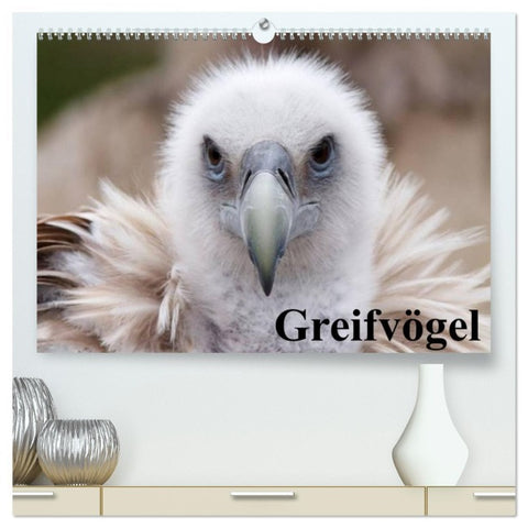 Greifvögel (hochwertiger Premium Wandkalender 2026 DIN A2 quer), Kunstdruck in Hochglanz