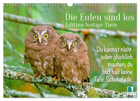 Die Eulen sind los: Edition lustige Tiere (Wandkalender 2027 DIN A3 quer), CALVENDO Monatskalender