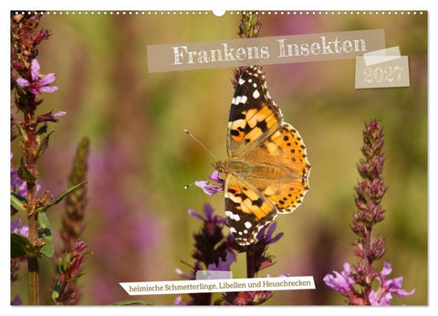 Frankens Insekten (Wandkalender 2027 DIN A2 quer), CALVENDO Monatskalender