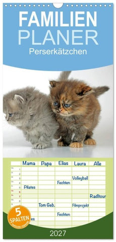 Familienplaner 2027 - Perserkätzchen mit 5 Spalten (Wandkalender, 21 x 45 cm) CALVENDO