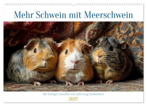 Mehr Schwein mit Meerschwein (Wandkalender 2027 DIN A2 quer), CALVENDO Monatskalender