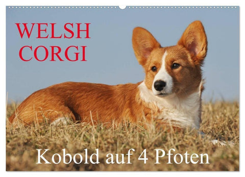 Welsh Corgi - Kobold auf 4 Pfoten (Wandkalender 2027 DIN A2 quer), CALVENDO Monatskalender
