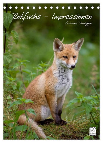 Rotfuchs - Impressionen (Tischkalender 2027 DIN A5 hoch), CALVENDO Monatskalender
