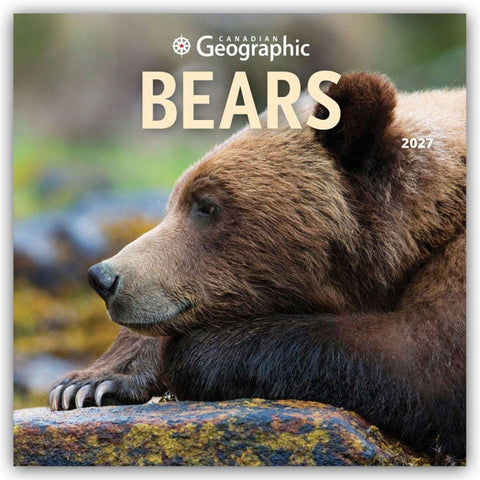 Bears – Bären 2027 – 16-Monatskalender