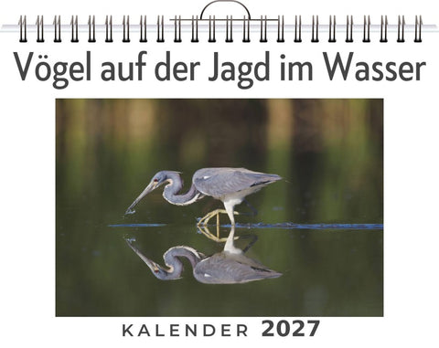 Vögel auf der Jagd im Wasser