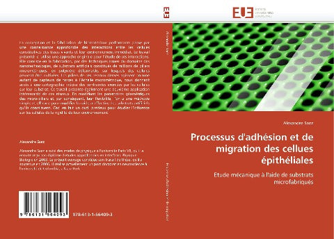 Processus d''adhésion et de migration des cellues épithéliales