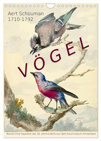 Aert Schouman. VÖGEL (Wandkalender 2027 DIN A4 hoch), CALVENDO Monatskalender