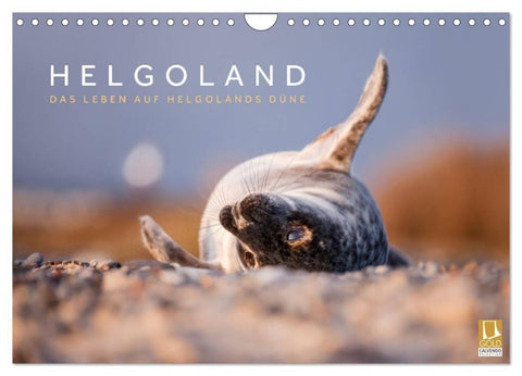 Helgoland - Das Leben auf der Düne Helgolands (Wandkalender 2027 DIN A4 quer), CALVENDO Monatskalender