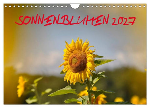 Sonnenblumen 2027 (Wandkalender 2027 DIN A4 quer), CALVENDO Monatskalender