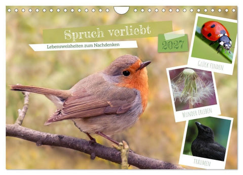 Spruch verliebt (Wandkalender 2027 DIN A4 quer), CALVENDO Monatskalender