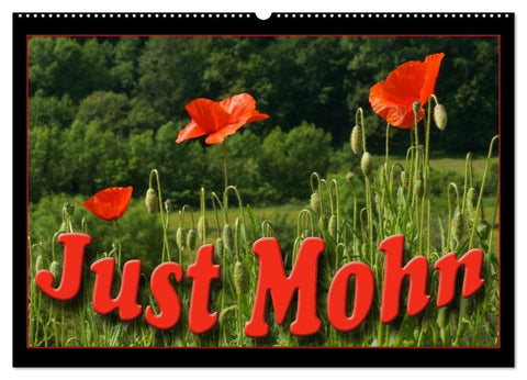 Just Mohn (Wandkalender 2027 DIN A2 quer), CALVENDO Monatskalender