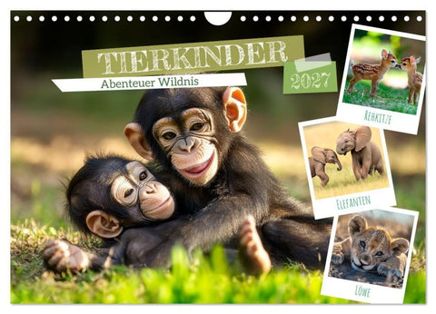 TIERKINDER Abenteuer Wildnis (Wandkalender 2027 DIN A4 quer), CALVENDO Monatskalender