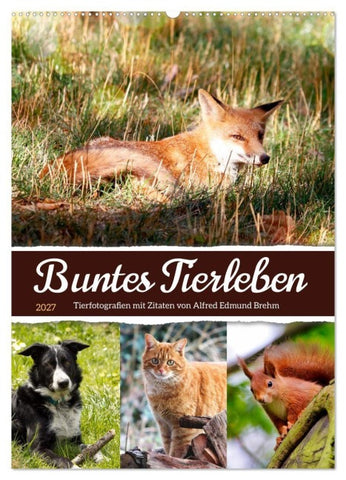 Buntes Tierleben (Wandkalender 2027 DIN A2 hoch), CALVENDO Monatskalender