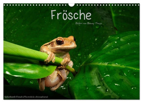 Frösche (Wandkalender 2027 DIN A3 quer), CALVENDO Monatskalender