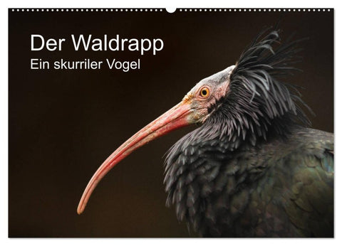 Der Waldrapp - Ein skurriler Vogel (Wandkalender 2027 DIN A2 quer), CALVENDO Monatskalender