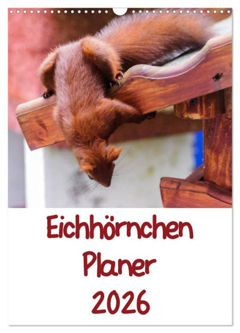 Eichhörnchen Planer 2026 (Wandkalender 2026 DIN A3 hoch), CALVENDO Monatskalender