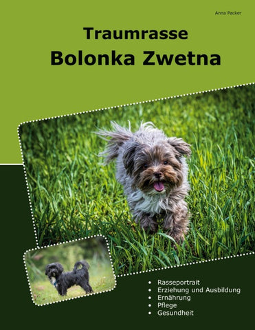 Traumrasse Bolonka Zwetna