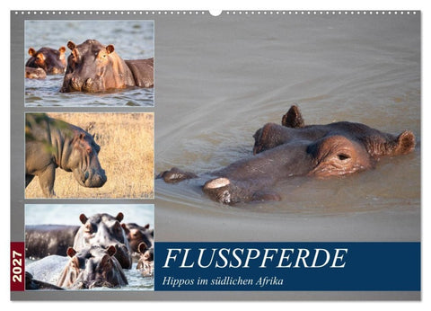 Hippos im südlichen Afrika (Wandkalender 2027 DIN A2 quer), CALVENDO Monatskalender