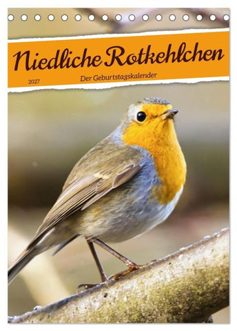 Niedliche Rotkehlchen (Tischkalender 2027 DIN A5 hoch), CALVENDO Monatskalender