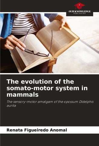 The evolution of the somato-motor system in mammals