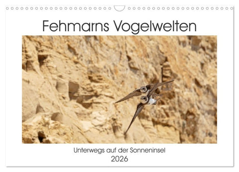Fehmarn Vogelwelten (Wandkalender 2026 DIN A3 quer), CALVENDO Monatskalender