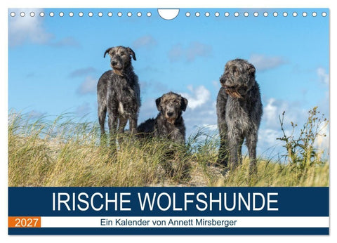 Irische Wolfshunde (Wandkalender 2027 DIN A4 quer), CALVENDO Monatskalender