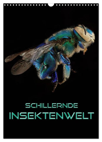 Schillernde Insektenwelt (Wandkalender 2027 DIN A3 hoch), CALVENDO Monatskalender