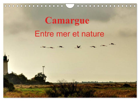 Camargue Entre mer et nature (Calendrier mural 2026 DIN A4 vertical), CALVENDO calendrier mensuel