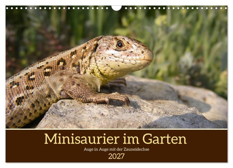 Minisaurier im Garten (Wandkalender 2027 DIN A3 quer), CALVENDO Monatskalender